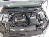 VW Polo Life 1.0 TSI NAVI+SITZHZ+ACC+PDC+CARPLAY