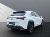 LEXUS UX 250h*FSPORT-D*1.HD*CARPLAY*PDC* 15J-GARANTIE*