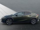 LEXUS UX 250h F-SPORT Design ALLWETTER+1.Hand