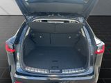 LEXUS NX 450h +EXECUTIVE+PANO+TECH-INTE-P 15J-GARANTIE