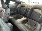 FORD Mustang Fastback 5.0 V8 GT Styling-Paket