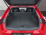 LEXUS UX 250h F-Sport