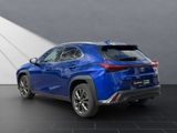 LEXUS UX 250h F Sport Design NAVI+KAMERA+ACC+LED+18"