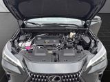 LEXUS NX 350h Business Connect Paket+360CAM+Sitzbelüf.