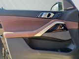 BMW X6 40d h&k Standheizung Panorama AHK Iconic Glow