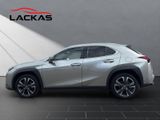 LEXUS UX 250h Style CARPLAY+NAVI+PDC