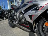 TRIUMPH Daytona 660 MY26 Quickshifter+A2 moglich