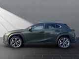 LEXUS UX 250 h*LED*TOP* KAMERA*NAVI*FACELIFT