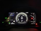 LEXUS UX 250 h F-Sport Design Allwetter