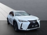 LEXUS UX 250 h Style Edition*Navi*11J.Garantie*