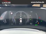 LEXUS NX 350h h 243 PS Executive *15-J ahre Garantie* 