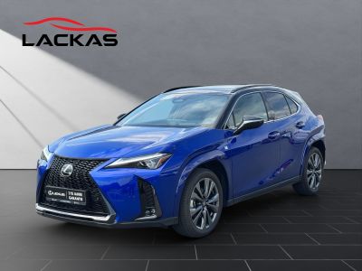 LEXUS UX 300h F-Sport E FOUR Schiebedach+360°+LEDER