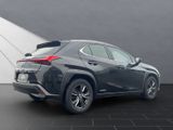LEXUS UX 250H LEDER+NAVI+HUD DISPLAY+15J.GARANTIE*