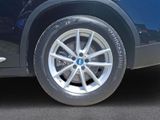 BMW X3 xDrive30e LC Prof HUD Stop&Go HiFi Ambientes Licht