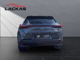 LEXUS UX 250 h Executive Line