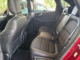 FORD Kuga Hybrid Titanium X ACC/APP/RFK/NAVI/TEMP