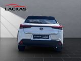 LEXUS UX 250 h*EXECUTIVE*HUD*LEDER*SCHIEBEDACH