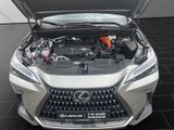 LEXUS NX 450h + Business 4x4+SITZBELÜF.+SHZ hinten+360
