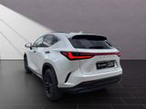 LEXUS NX 450h OVERTRAIL*PANOARAMA*15 JAHRE GARANTIE