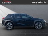 LEXUS UX 250h 250 h 250h*LED*KAMERA* TOP*TWW*DAB*SERVI