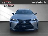 LEXUS UX 250h EU6d STYLE+*LED*ACC*CA RPLAY* LED ACC Ap