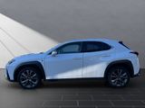 LEXUS UX 250h F-Sport Design CarPlay+NAVI+Sitzheizung