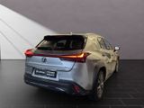 LEXUS UX 250h*F-SPORT-D.*1HD*NAVI*LEDER* 15J-GARANTIE*
