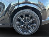 LEXUS RX 500  F-SPORT *MARK-LEVINSON*HUD*360°KAMERA*