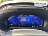 FORD Focus ST-Line X LED Rückfahrkam. Beheizb. Frontsch.