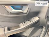 FORD Kuga Plug-In Hybrid ST-Line 360 Kamera Matrix-LED