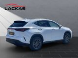 LEXUS NX 450h + Executive Interieur+Technikp+360CAM