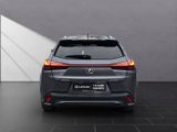 LEXUS UX 250 h*MARC LEV.MEMORY F SPORT*VOLL-LEDER*