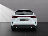 LEXUS NX 450h +F Sport AWD 20"+360°+SITZKÜHLUNG