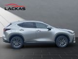 LEXUS NX 450h + Executive Interieur + Technologie Pano
