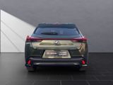 LEXUS UX 250h F-SPORT Design ALLWETTER+1.Hand