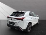 LEXUS UX 250h*F-SPORT*AHK*HUD*CARPLAY* 15J-GARANTIE*
