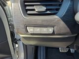 RENAULT Arkana Esprit Alpine NAVI+PDC+RfK+SHZ+LHZ