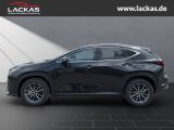 LEXUS NX 350h h 243 PS Executive *15-J ahre Garantie* 