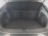 VW T-Roc R-Line 1.5 TSI SITZHZ+ACC+PDC+CARPLAY+LED