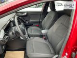 FORD Puma Titanium AHK-abnehmbar Allwetterreifen