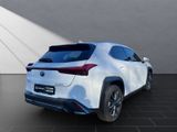 LEXUS UX 250h*F-Sport-D*1HD*SHZ*CARPLAY* DAB*