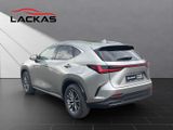LEXUS NX 450h + Business 4x4+SITZBELÜF.+SHZ hinten+360
