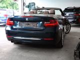 BMW 220i Luxury Line Leder Klima PDC 17 LM