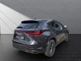LEXUS NX 350h h 243PS Sitzklima Connect, 360°