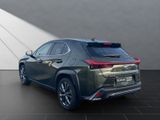 LEXUS UX 250H*F-SPORT-DESIGN*CARPLAY*15 JAHRE GARA