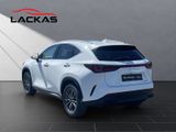 LEXUS NX 450h + Executive Line NX 450h+ Executive Line