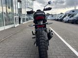 TRIUMPH Scrambler 400XC NEU! Sofort Verfügbar