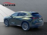 LEXUS NX 450h + Executive PANO Interieur+Technologie P