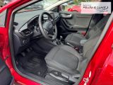 FORD Puma Titanium Rückfahrkam. Beheizb. Frontsch.