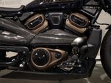 Harley Davidson Sportster S Zard Sozius Seitl. KZ Halter